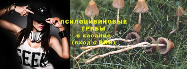дмт Абаза
